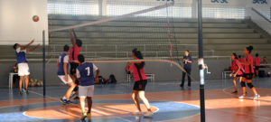 Voleibol