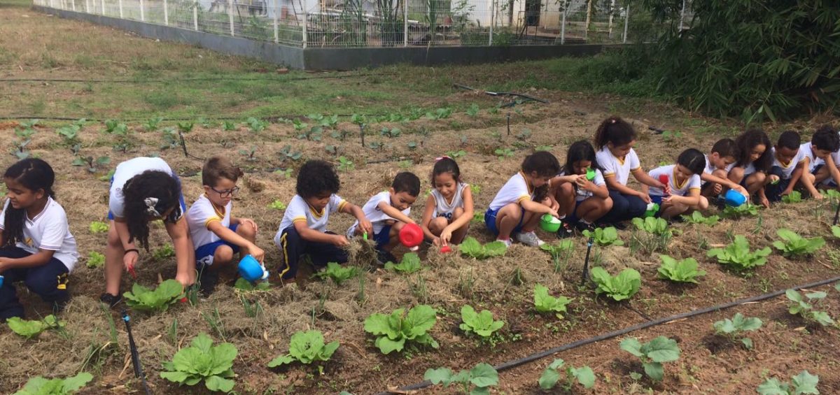 Educação Nutricional - Horta Sesc Ler Goiana