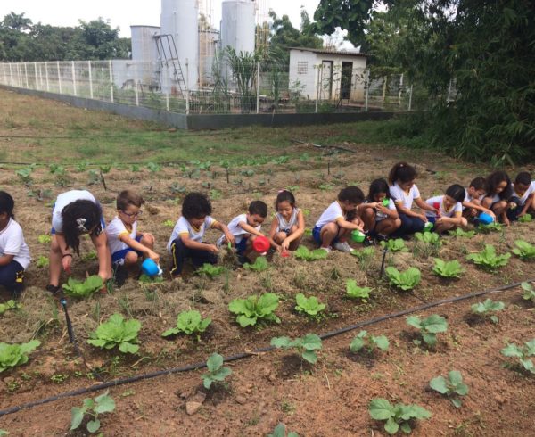 Educação Nutricional - Horta Sesc Ler Goiana