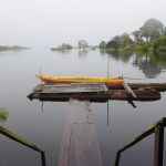 No rio das borboletas