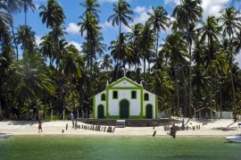 Praia_dos_Carneiros,_Pernambuco_Vi Neves_WIKIMEDIA
