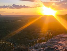 WhatsApp Image 2026-02-09 at 16.13.19